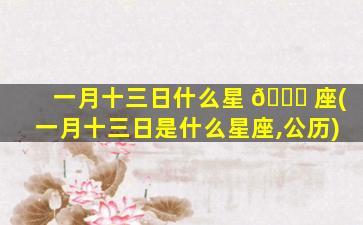 一月十三日什么星 🐘 座(一月十三日是什么星座,公历)